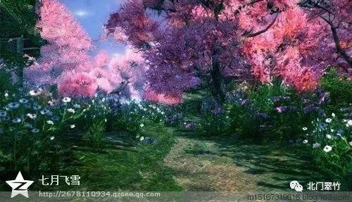 逃离梦想花园