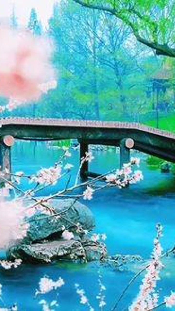 异形星球塔防